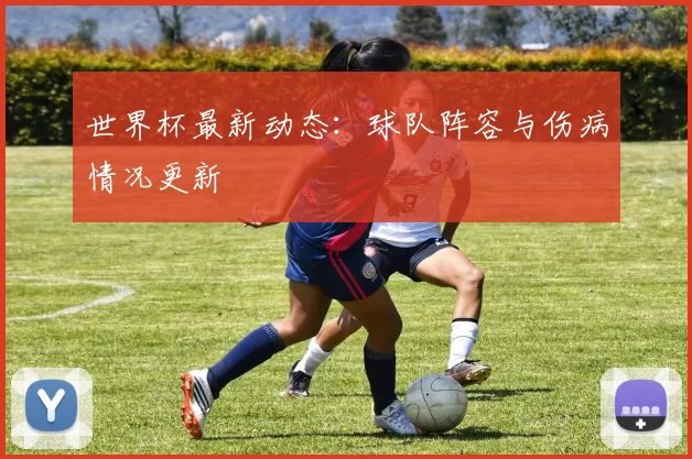 世界杯最新动态：球队阵容与伤病情况更新