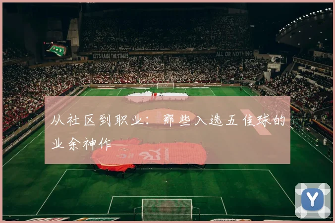 从社区到职业:那些入选五佳球的业余神作